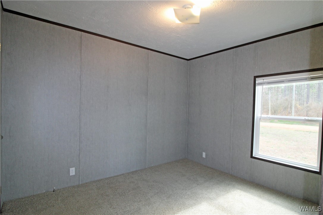 720 Beehive, Sawyerville, Alabama image 21