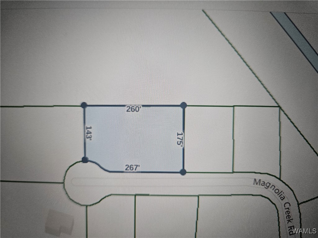 Lot 5 Magnolia Creek, Gordo, Alabama image 4