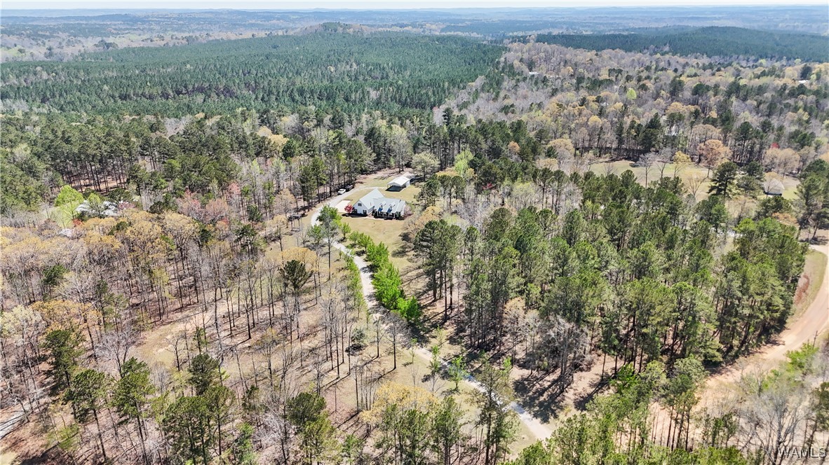 2484 Ridgecrest Road, Gordo, Alabama image 43