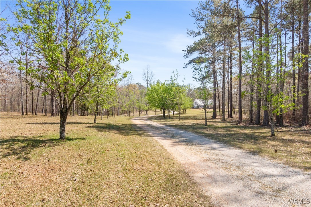 2484 Ridgecrest Road, Gordo, Alabama image 42