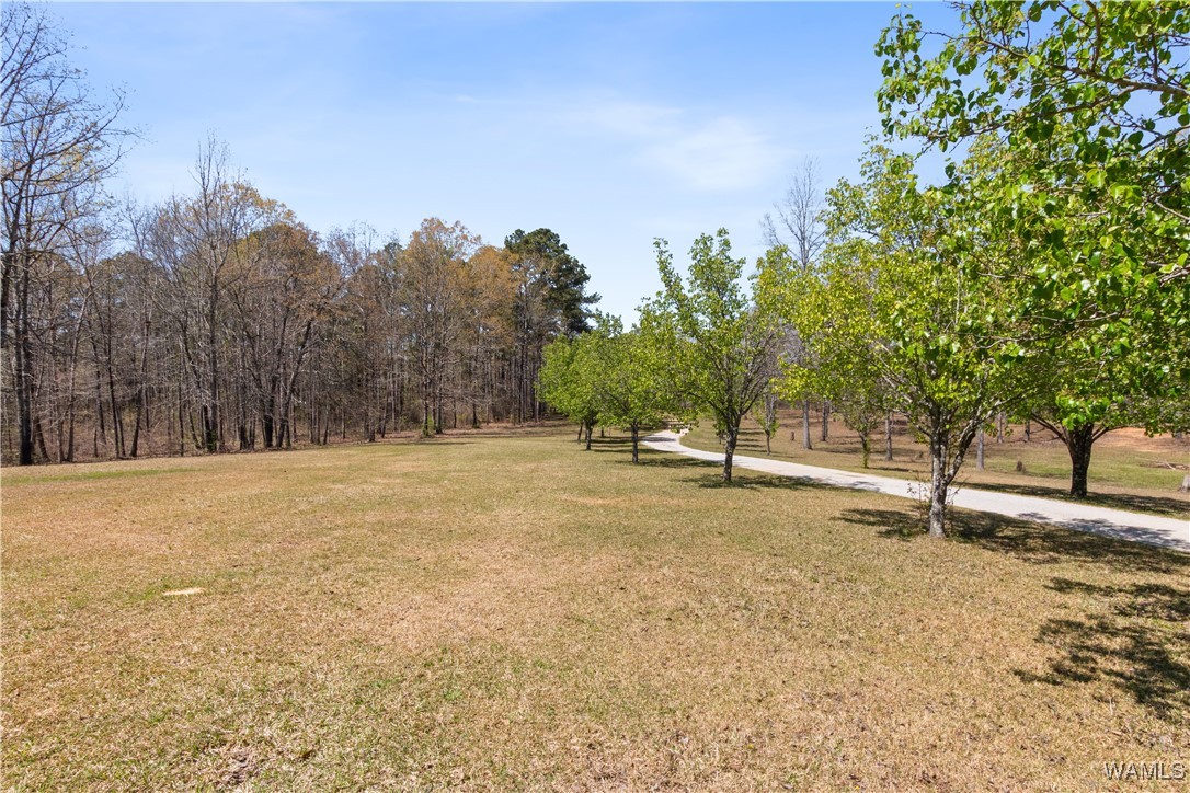 2484 Ridgecrest Road, Gordo, Alabama image 39