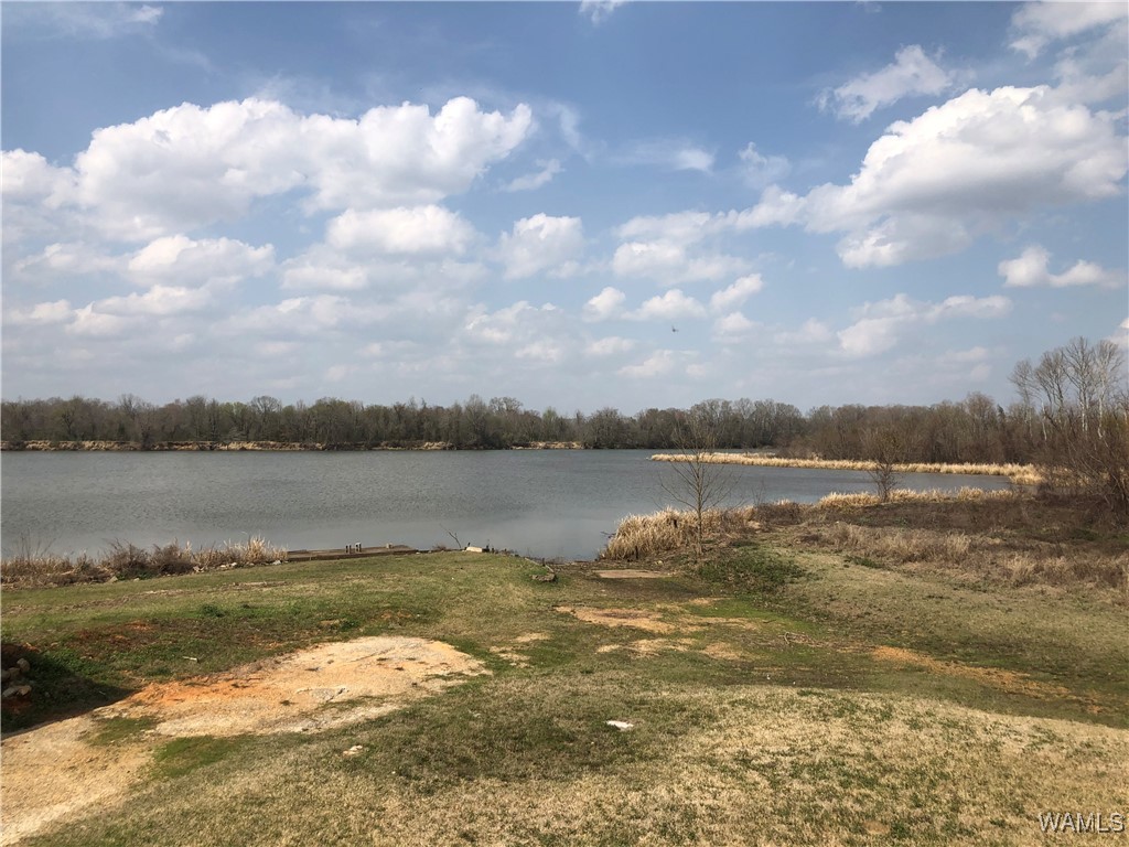 2230 Oak Village Road, Akron, Alabama image 22