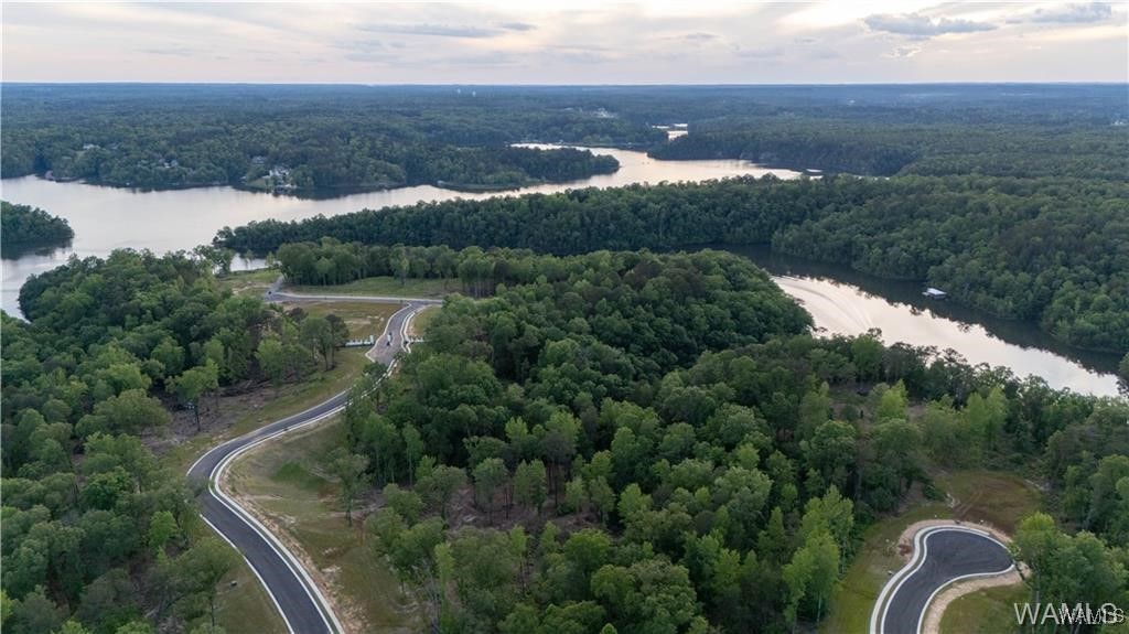 10 Lake Island Rd Dr, Tuscaloosa, Alabama image 9