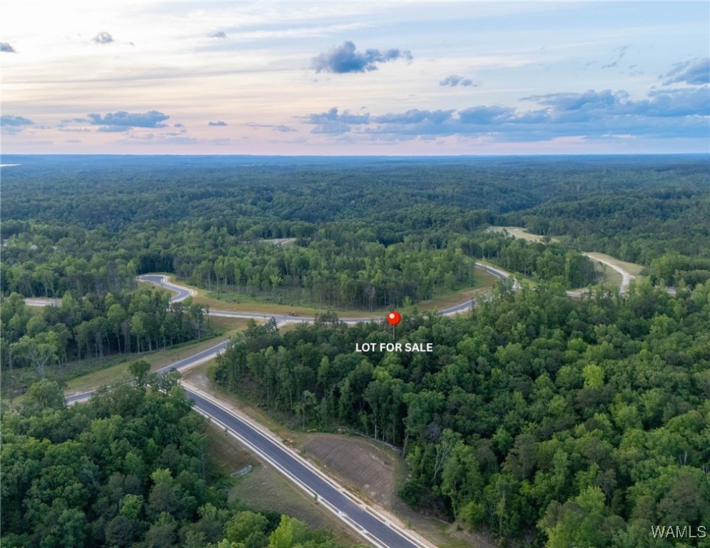 10 Lake Island Rd Dr, Tuscaloosa, Alabama image 2