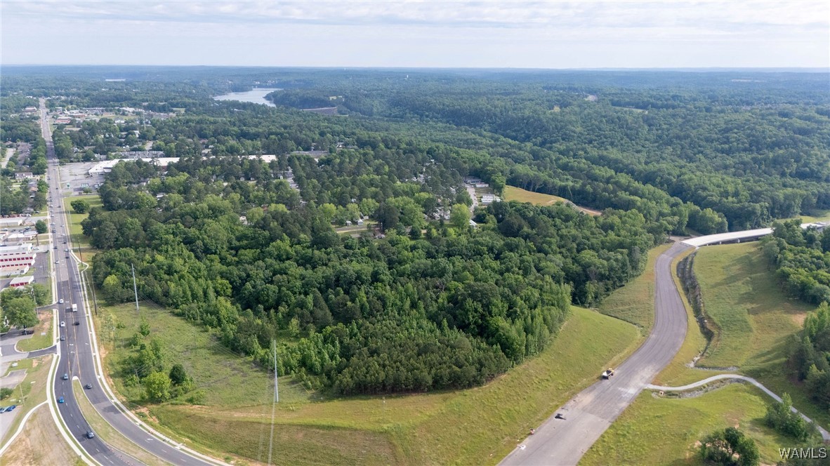 Mcwrights Ferry Road, Tuscaloosa, Alabama image 10