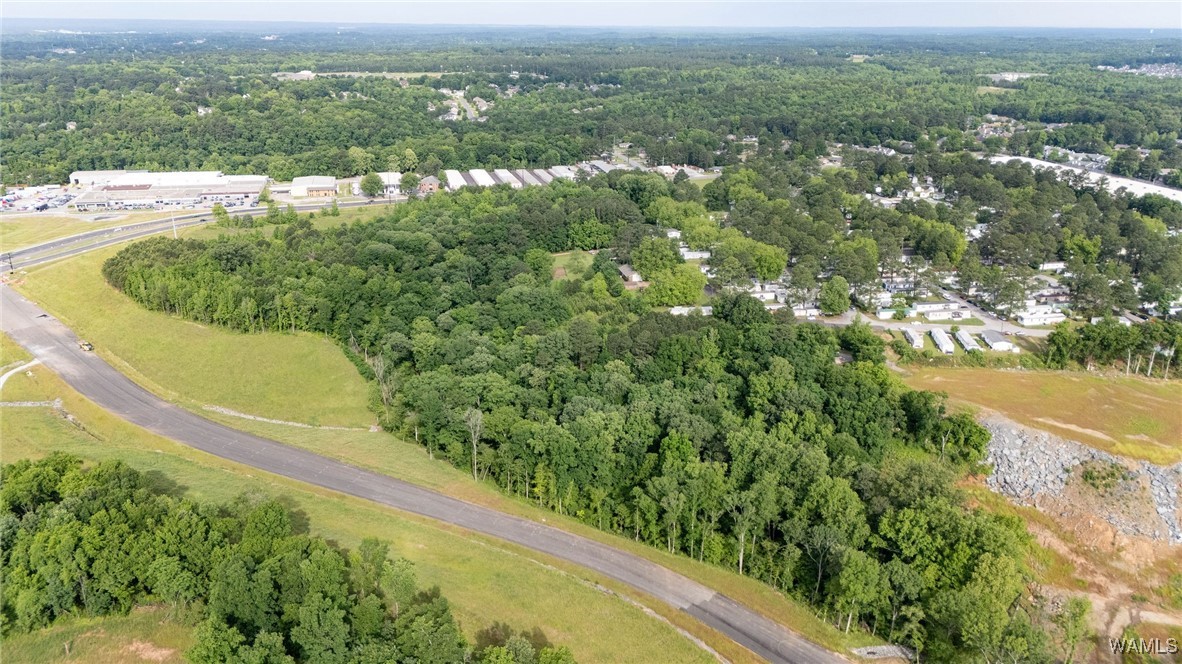 Mcwrights Ferry Road, Tuscaloosa, Alabama image 7