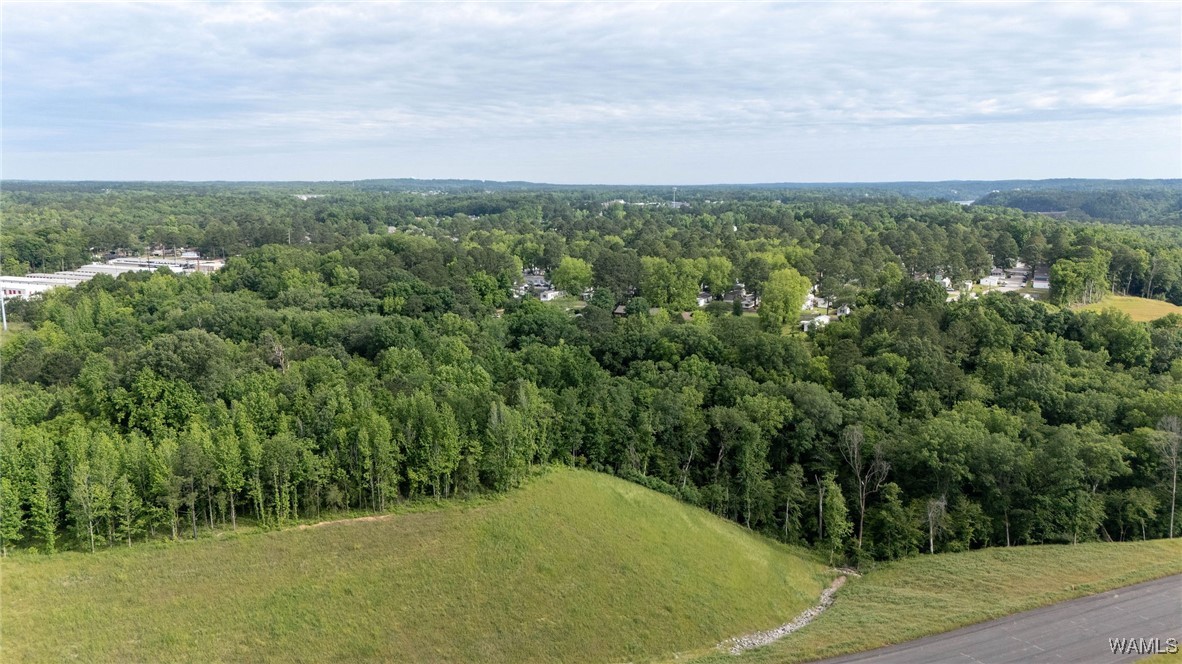 Mcwrights Ferry Road, Tuscaloosa, Alabama image 11