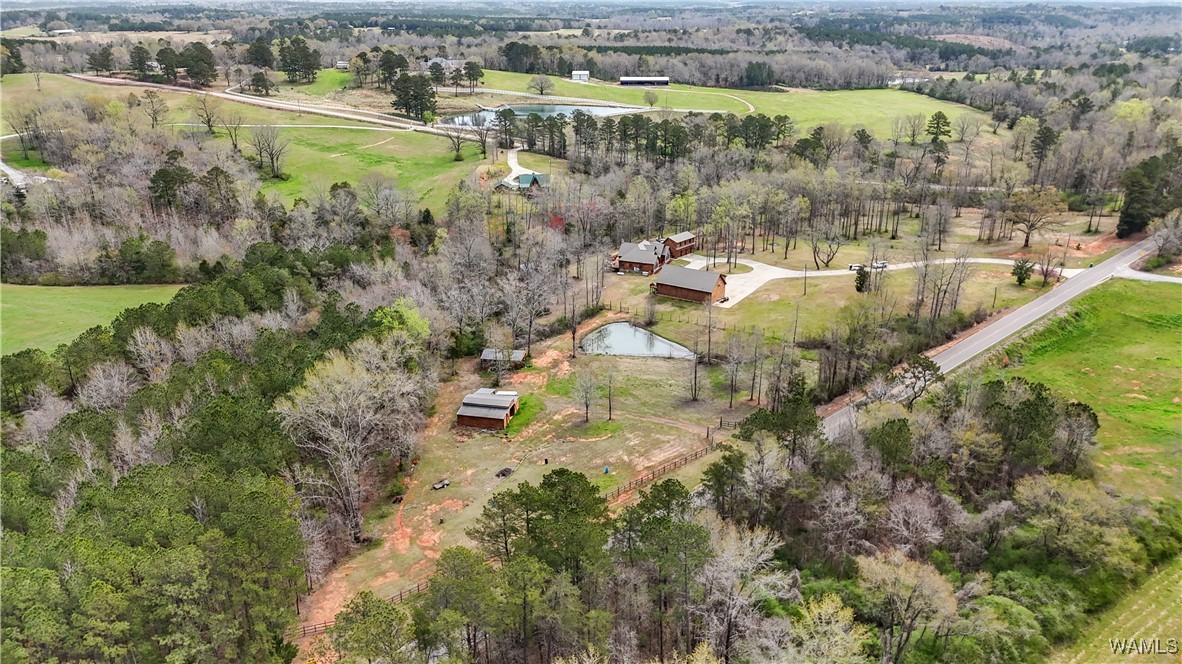 20315 Gorgas Road, Berry, Alabama image 48