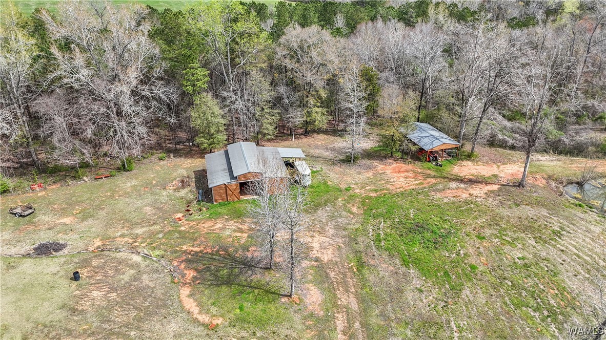 20315 Gorgas Road, Berry, Alabama image 49