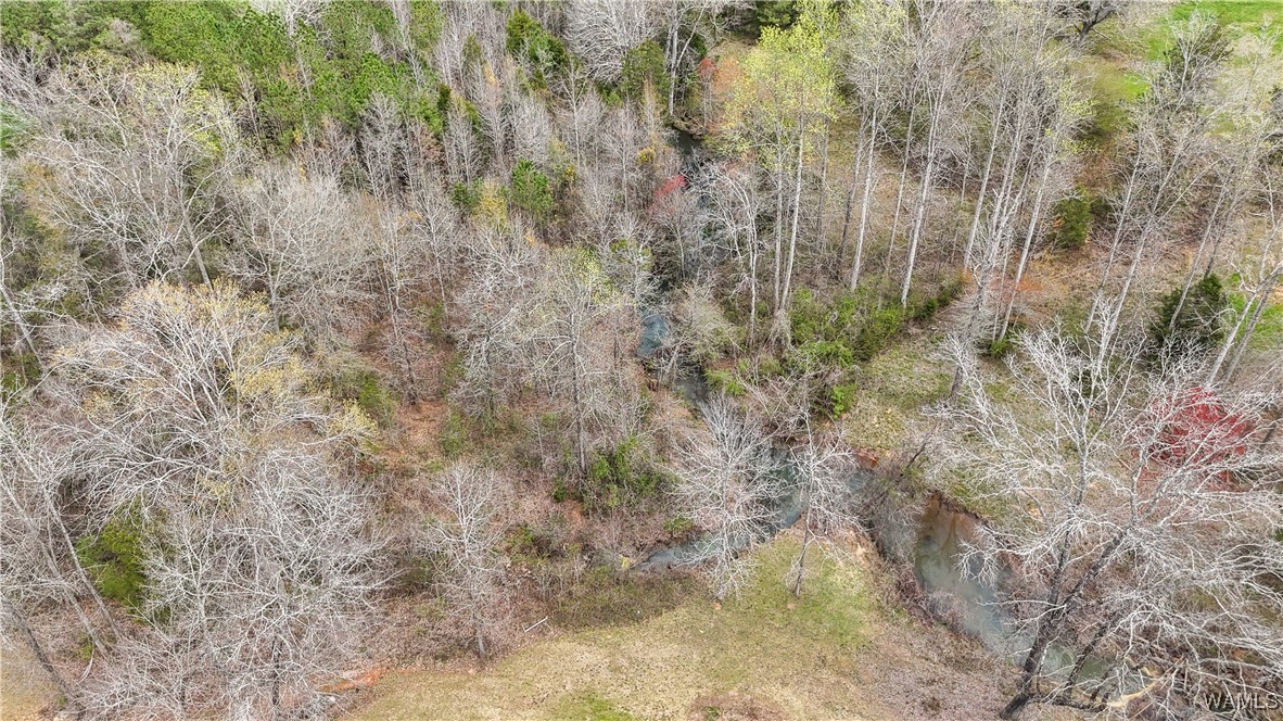 20315 Gorgas Road, Berry, Alabama image 50