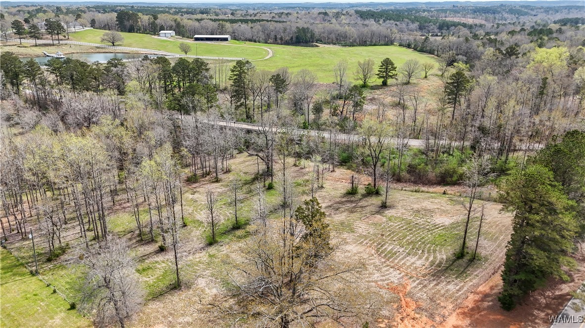 20315 Gorgas Road, Berry, Alabama image 46