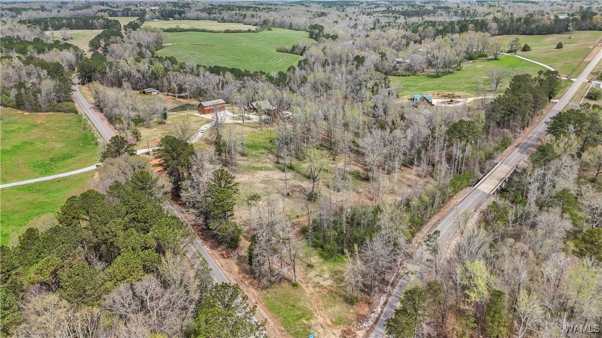 20315 Gorgas Road, Berry, Alabama image 47