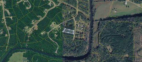 Vacant Land For Sale - 27 North View Circle<br/> North Port, AL 35475