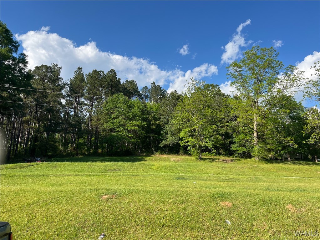 00 Alla Drive, Coker, Alabama image 1