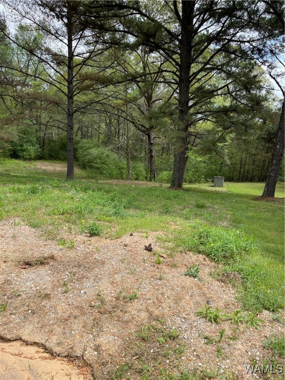 9309 Cleveland Road, North Port, Alabama image 13