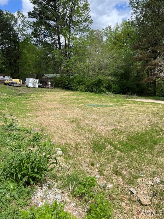 9309 Cleveland Road, North Port, Alabama image 4