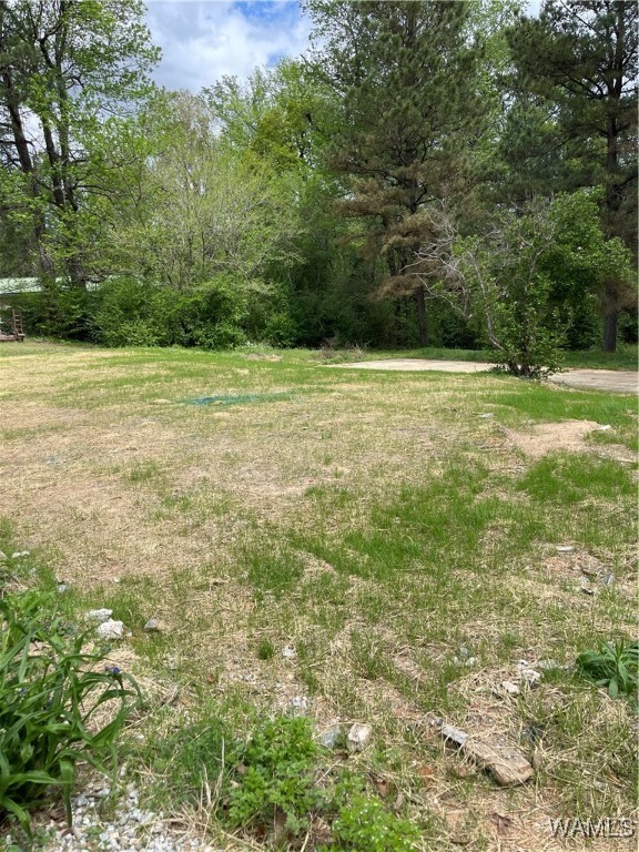9309 Cleveland Road, North Port, Alabama image 8