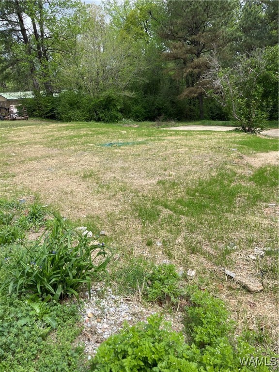 9309 Cleveland Road, North Port, Alabama image 9