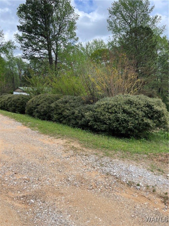 9309 Cleveland Road, North Port, Alabama image 3