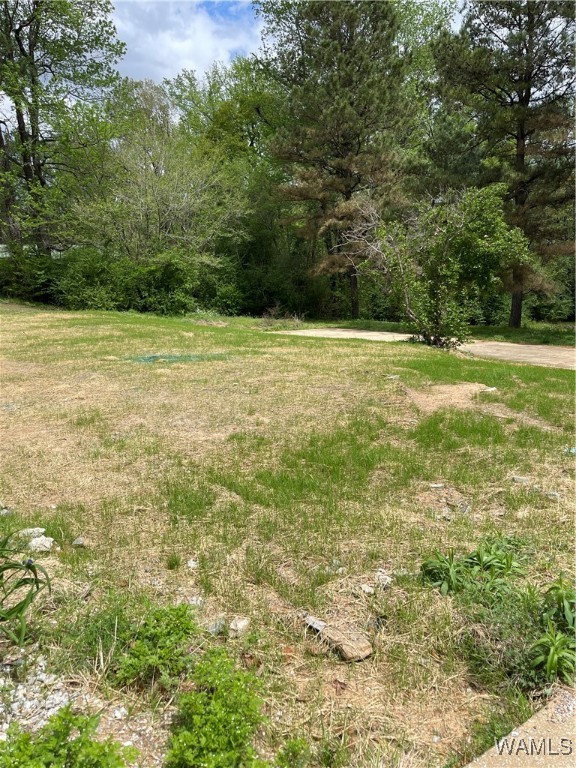 9309 Cleveland Road, North Port, Alabama image 5