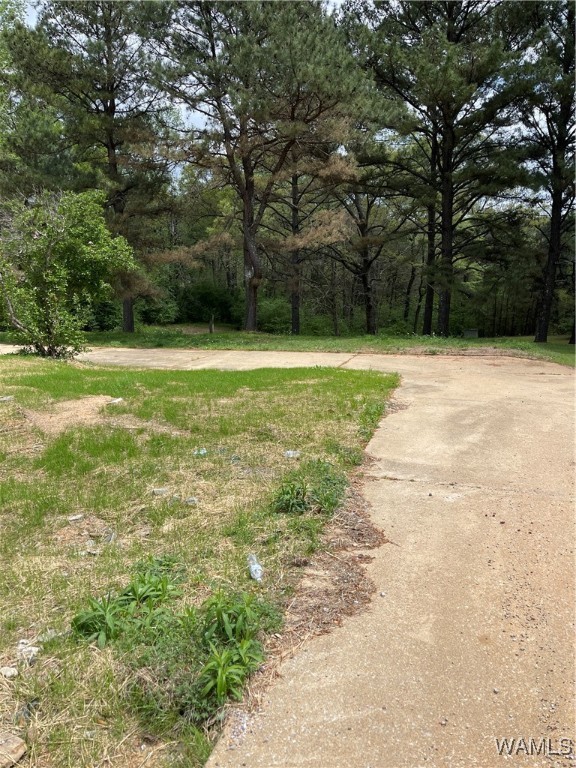 9309 Cleveland Road, North Port, Alabama image 6