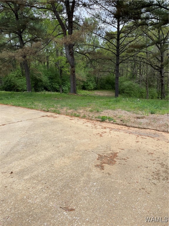 9309 Cleveland Road, North Port, Alabama image 12
