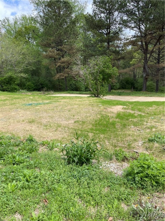 9309 Cleveland Road, North Port, Alabama image 1