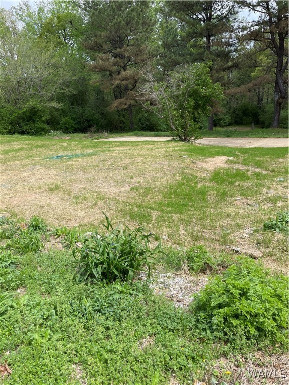 9309 Cleveland Road, North Port, Alabama image 10