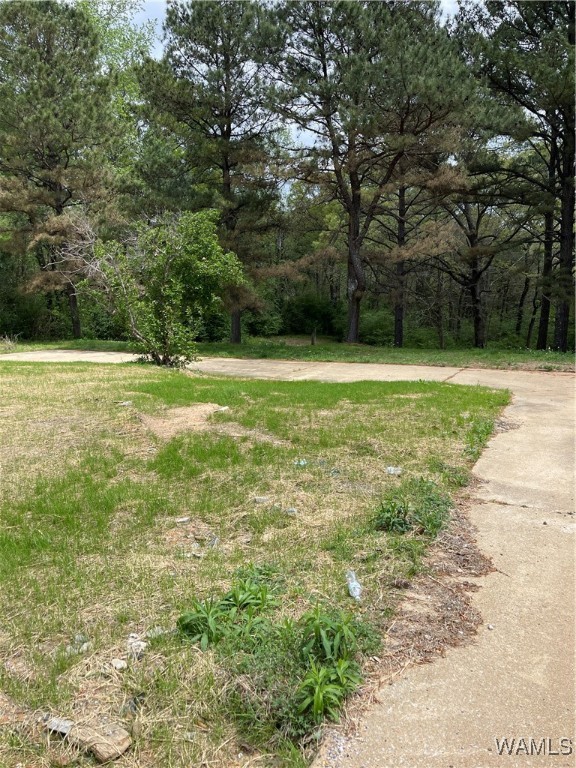 9309 Cleveland Road, North Port, Alabama image 7