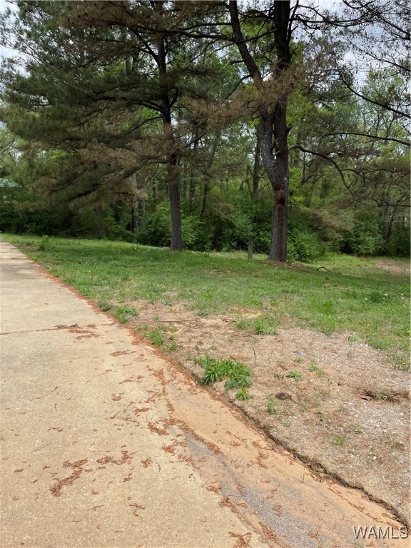 9309 Cleveland Road, North Port, Alabama image 2