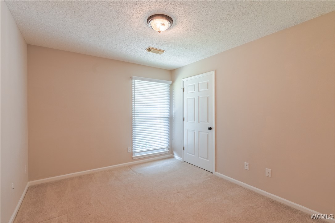 1751 Upper Lake Drive, Cottondale, Alabama image 34
