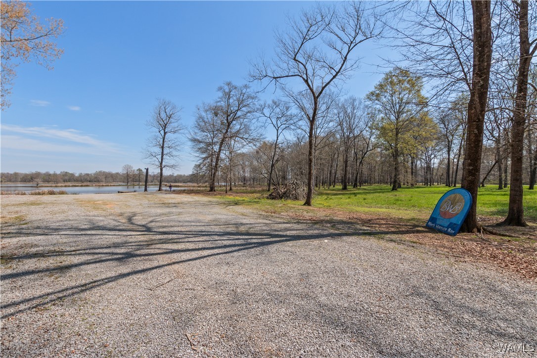 Lot 28 Cypress Point Drive, Akron, Alabama image 17