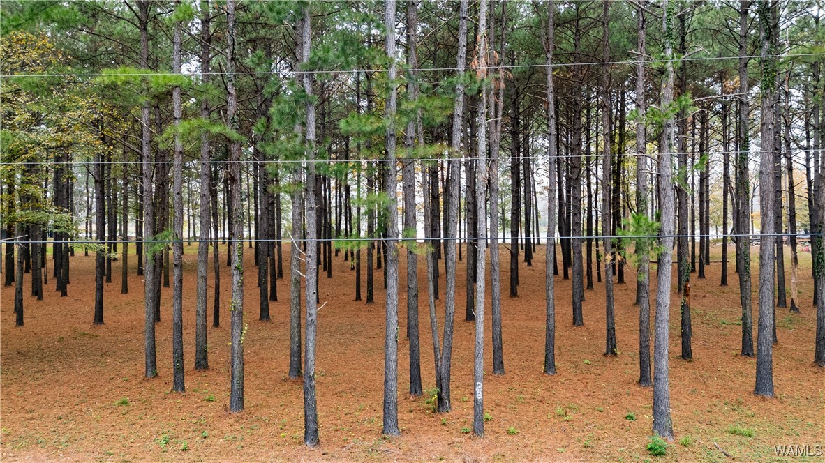 Lot 28 Cypress Point Drive, Akron, Alabama image 2