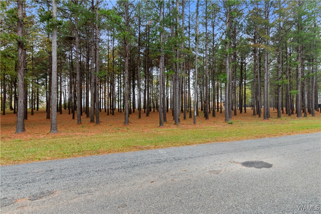 Lot 28 Cypress Point Drive, Akron, Alabama image 3