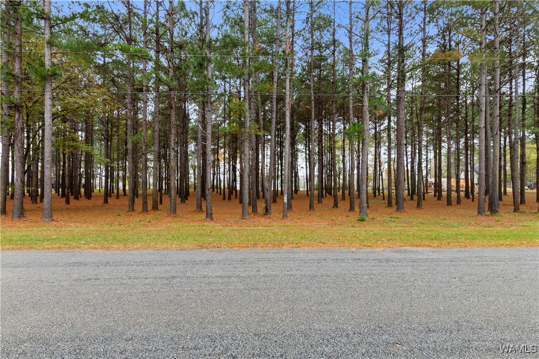 Lot 28 Cypress Point Drive, Akron, Alabama image 4