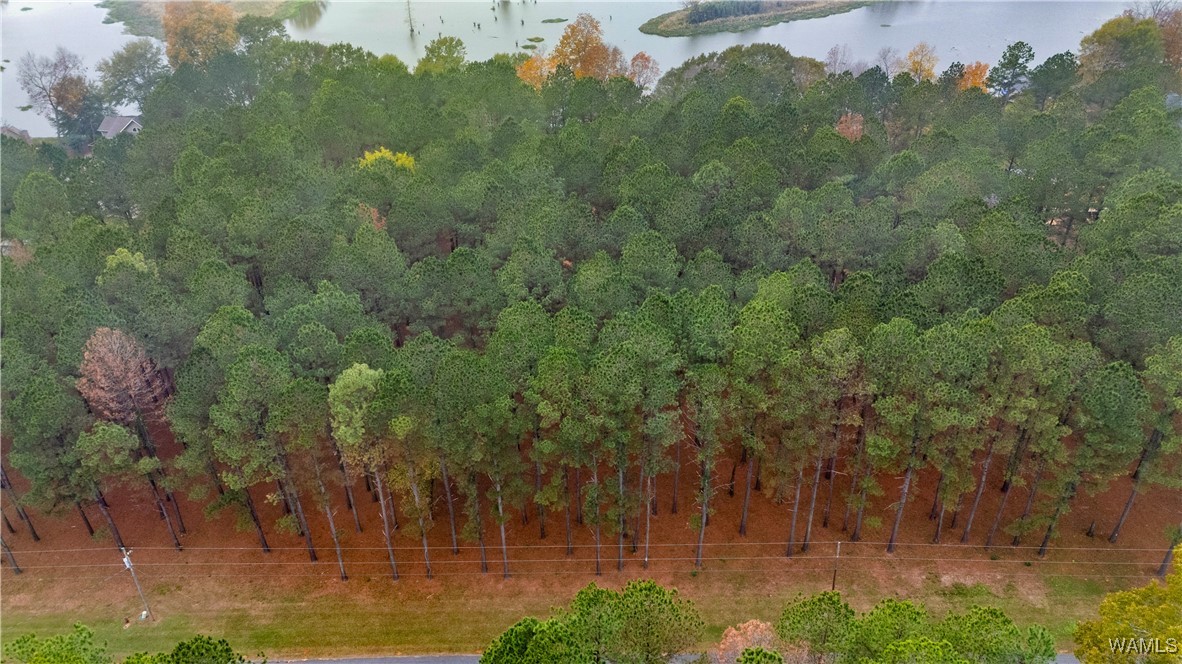 Lot 28 Cypress Point Drive, Akron, Alabama image 15