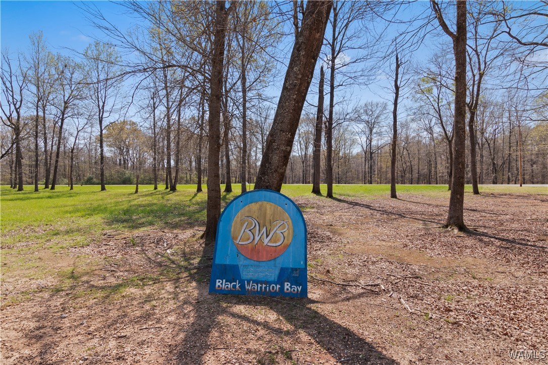 Lot 28 Cypress Point Drive, Akron, Alabama image 18