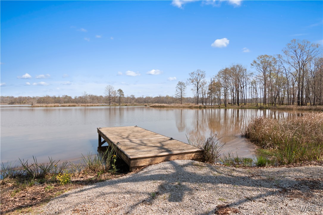 Lot 28 Cypress Point Drive, Akron, Alabama image 21