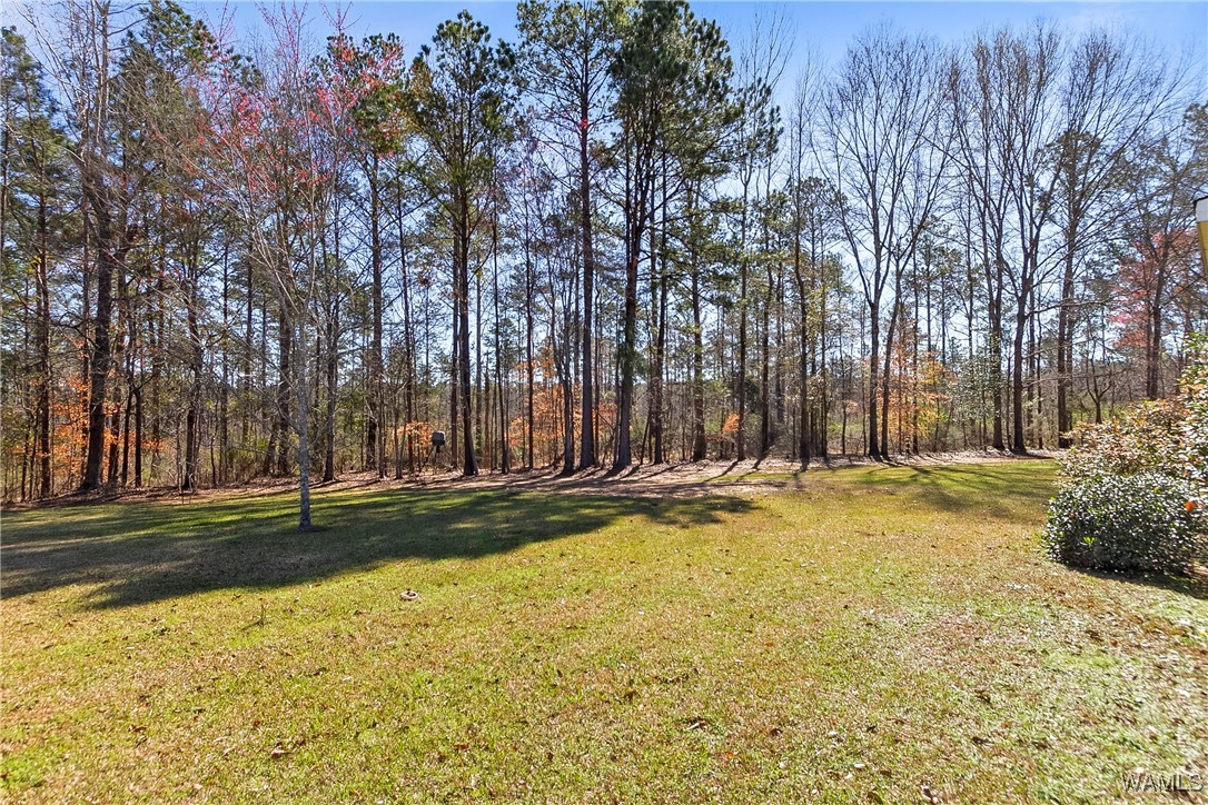 17174 Finnell Road, North Port, Alabama image 11