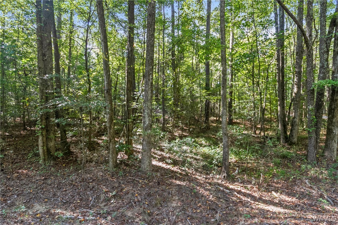 Lot 17 Grandview Drive, North Port, Alabama image 7