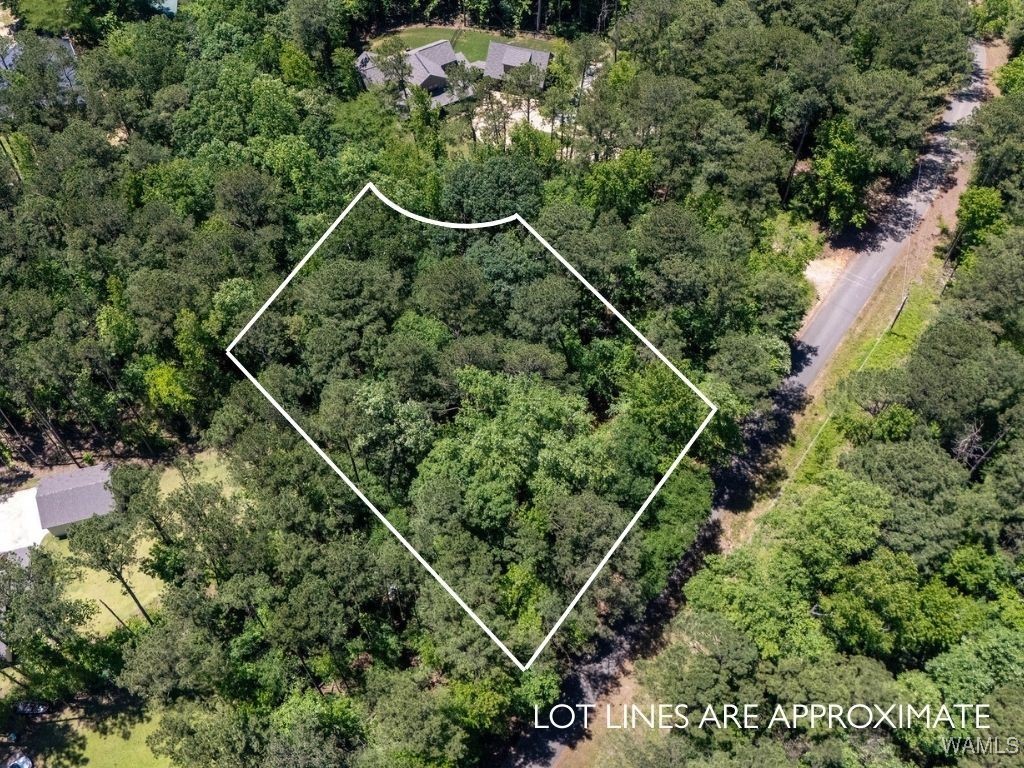 Lot 17 Grandview Drive, North Port, Alabama image 4