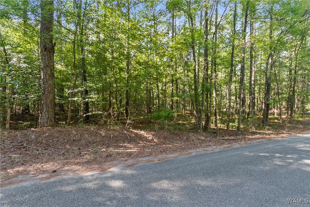 Lot 17 Grandview Drive, North Port, Alabama image 6