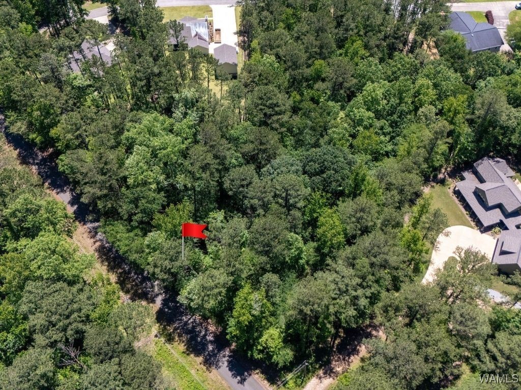Lot 17 Grandview Drive, North Port, Alabama image 2