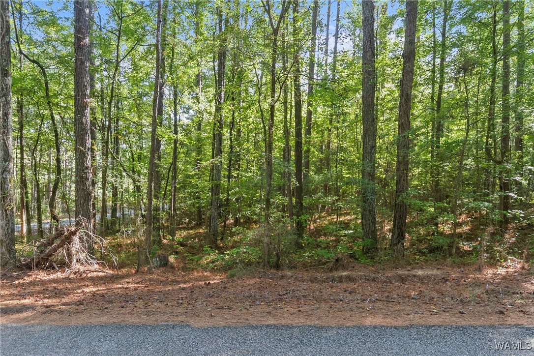 Lot 17 Grandview Drive, North Port, Alabama image 10
