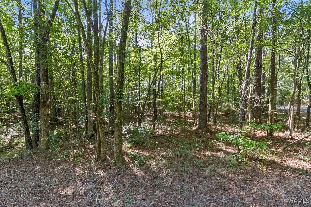 Lot 17 Grandview Drive, North Port, Alabama image 8