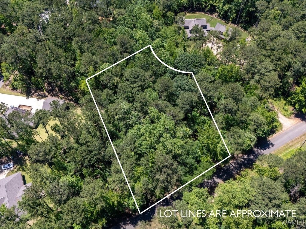 Lot 17 Grandview Drive, North Port, Alabama image 3