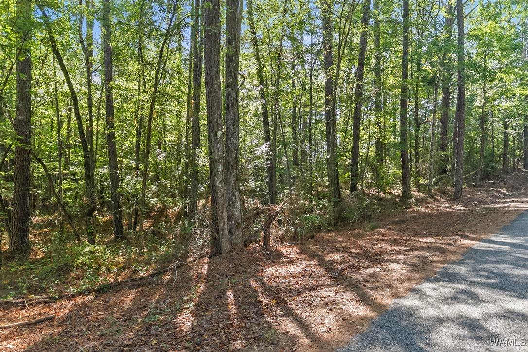 Lot 17 Grandview Drive, North Port, Alabama image 9