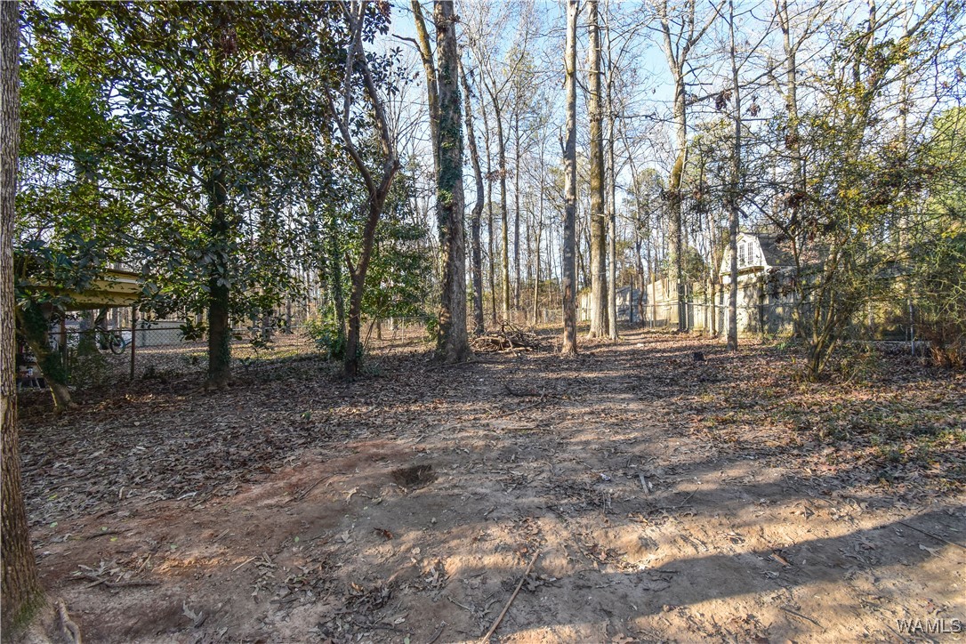 14464 Lake Wildwood Drive, Cottondale, Alabama image 21