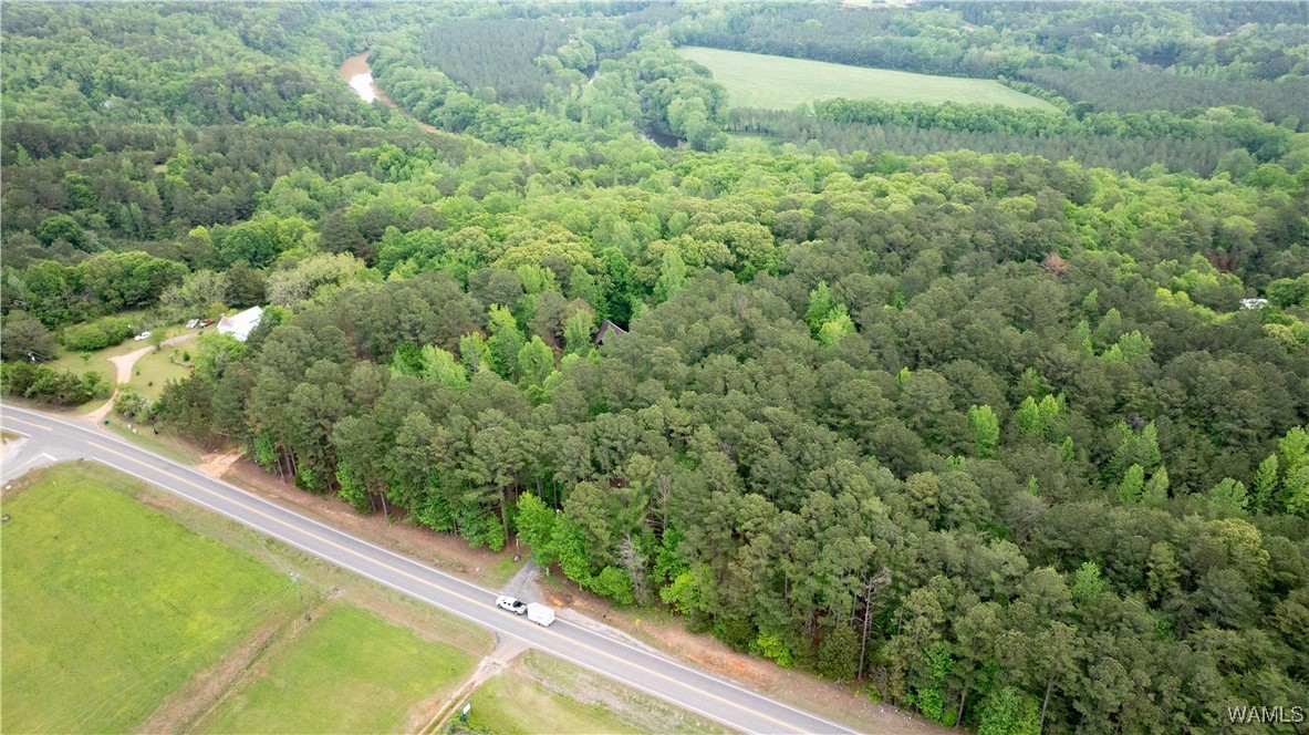 17719 Highway 43, North Port, Alabama image 26