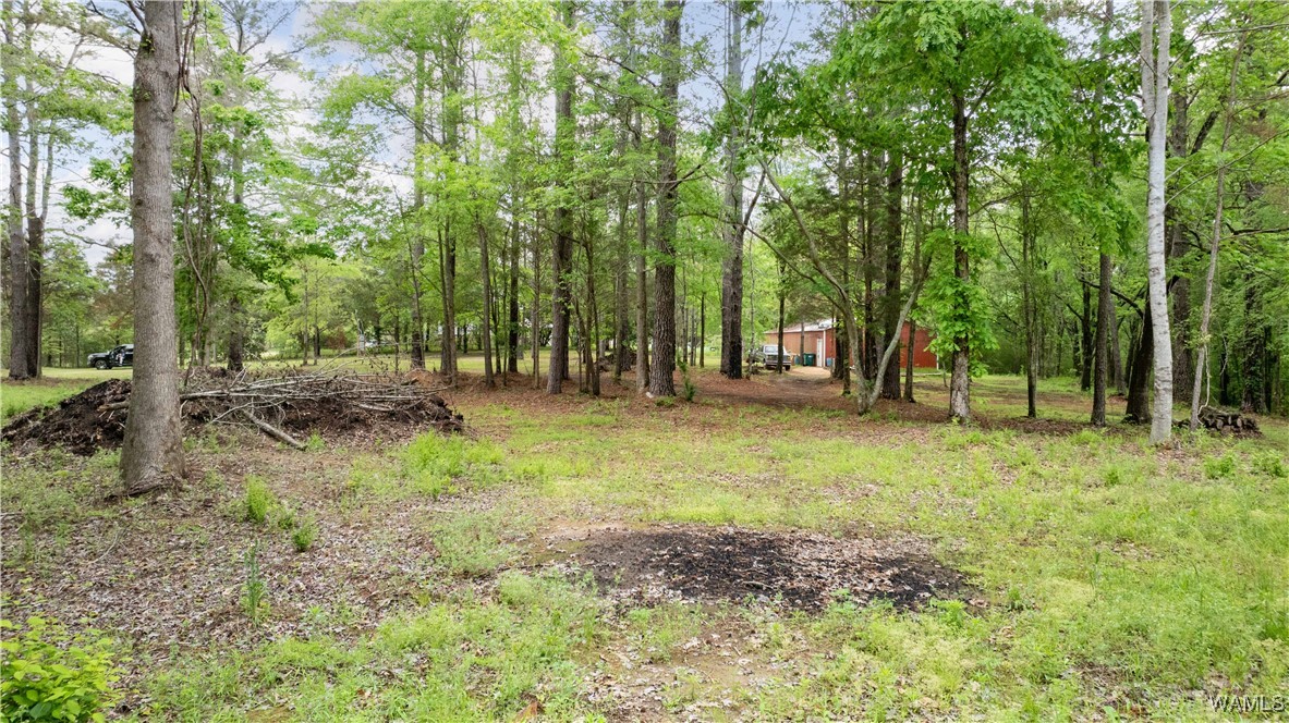 17719 Highway 43, North Port, Alabama image 18